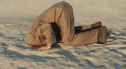 aceptar-y-no-negar-la-realidad