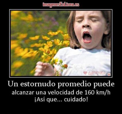 89491531-F2FB-4AAF-9DF9-3C2163084442